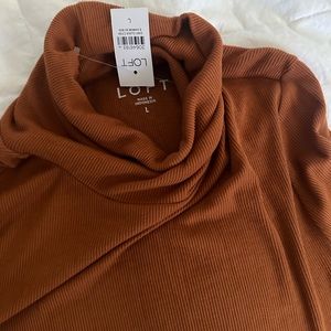 Loft Ribbed Turtleneck